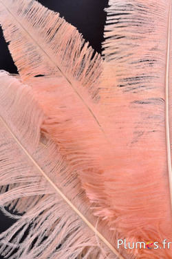 Struzzo tagliato - 50-60 cm - salmone rosato